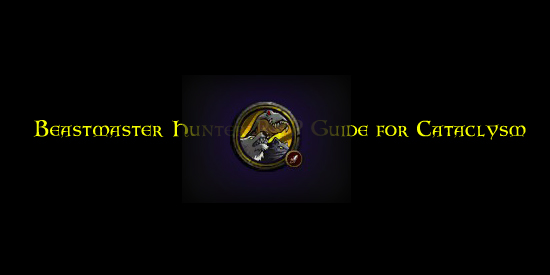 Beastmaster Hunter PVP Guide for Cataclysm?