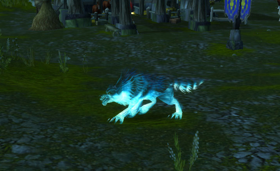 Taming Karoma, The Spirit Wolf From Twilight Highlands, spawn points, timer, guide?