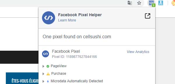 Facebook Pixel page view warning, error, firing twice?