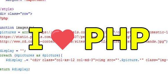 PHP Basics Tutorial